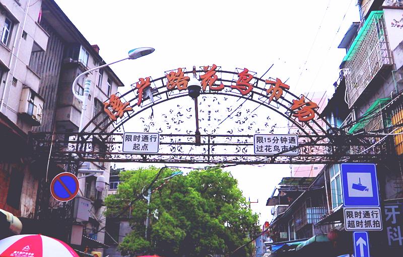 厦门藏匿着的美好,厦门是一座非常迷人的城市