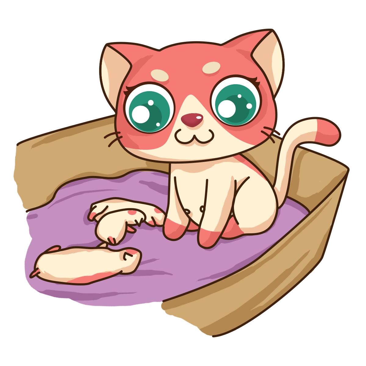 母猫要生宝宝会做什么举动,母猫要生了要不要给他接生工具