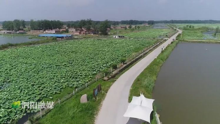 2019年泗阳县重点民生工程,农村重点民生实事