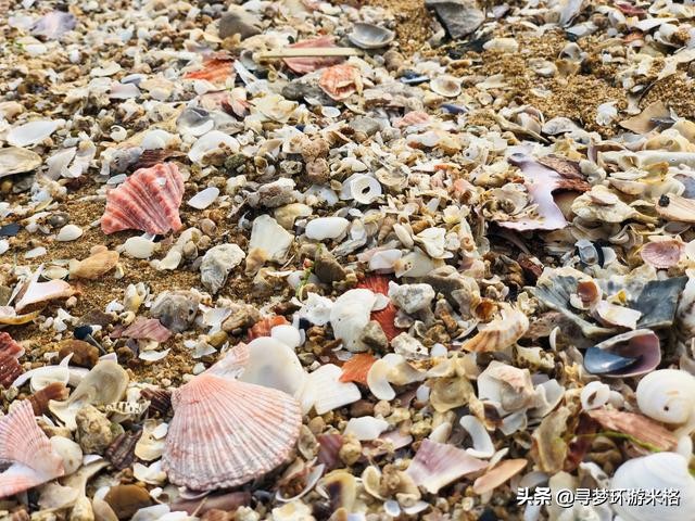 青岛的金沙滩和银沙滩哪个比较好,青岛金沙滩风景区简介