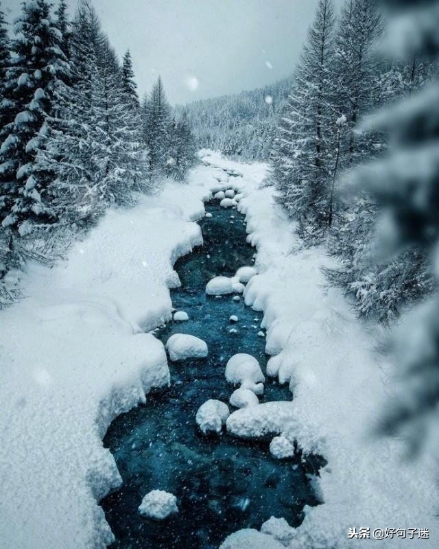 适合发QQ动态的句子,qq动态说说大全适合晚上发的