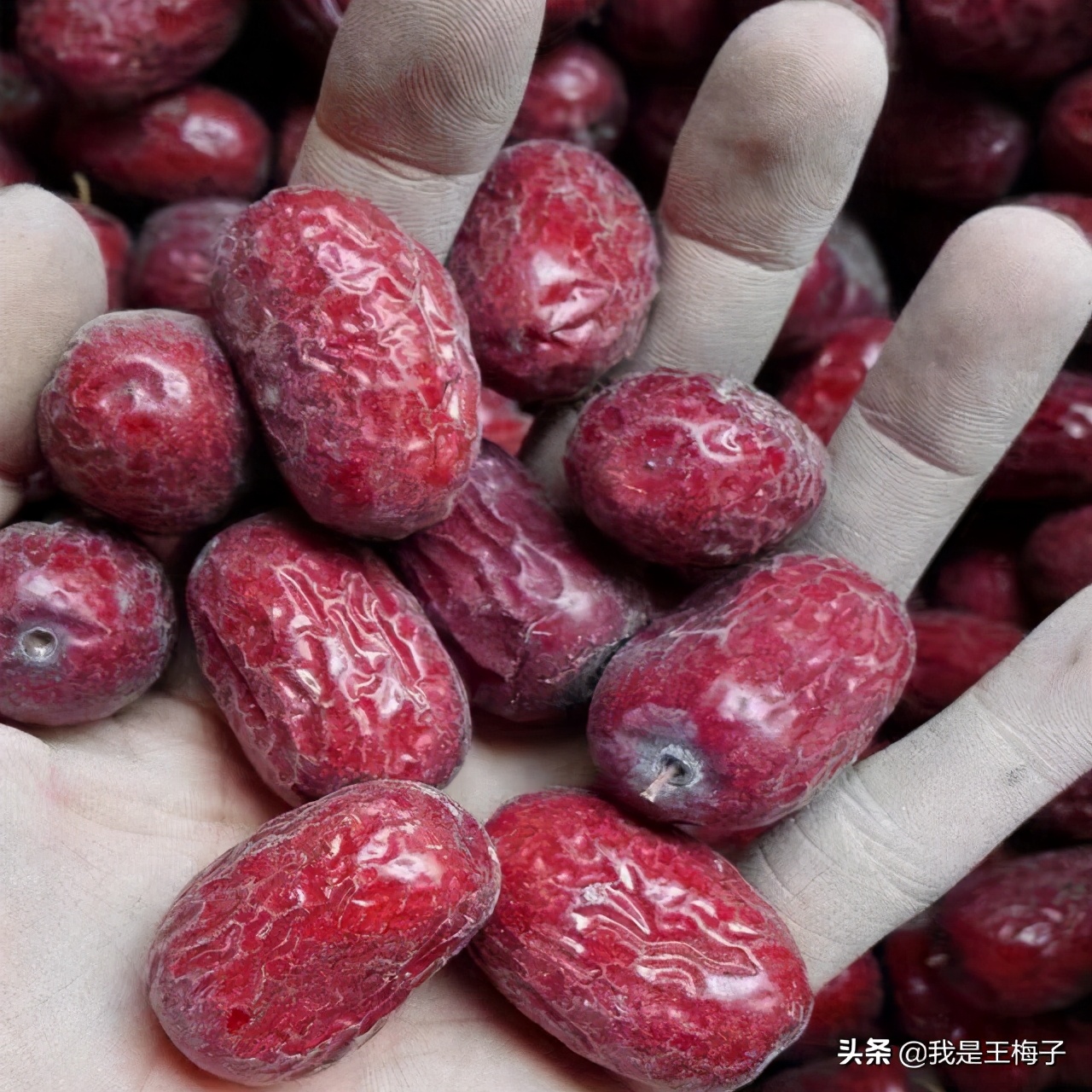 枣香浓郁新疆特产若羌灰枣,新疆原生态吊干灰枣若羌枣