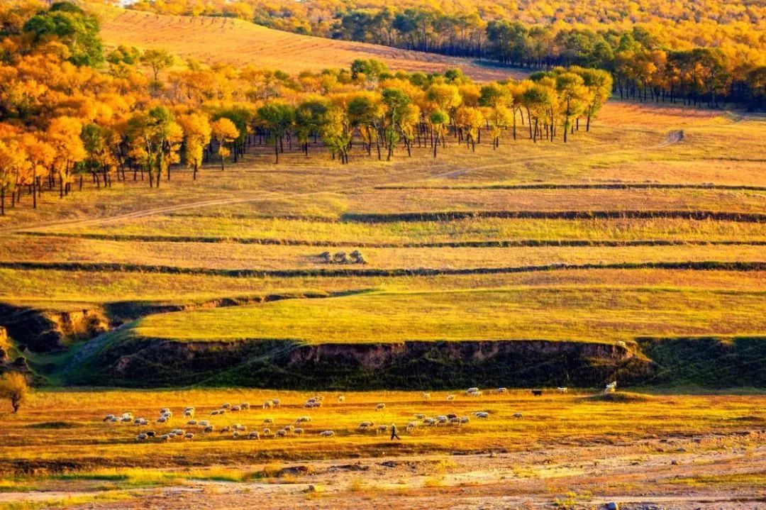 秋天最值得去的四个地方,秋天全部的风景