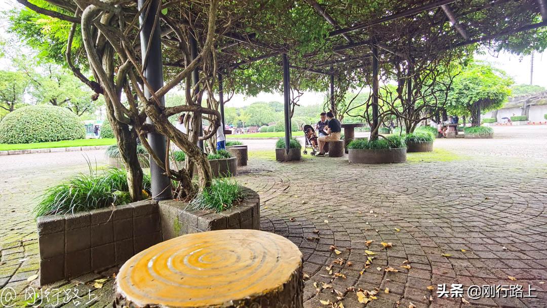 上海野生动物园攻略，一个适合亲子游玩的地方