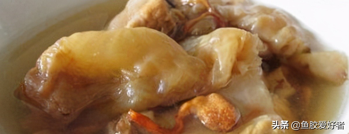 鱼胶正确的泡发方法和做法,鱼胶的做法和功效大全