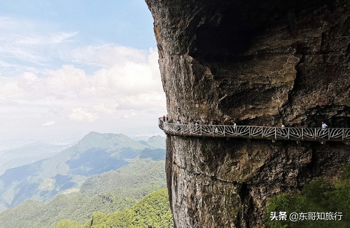 重庆金佛山夏季旅游攻略,重庆金佛山一日游攻略夏季