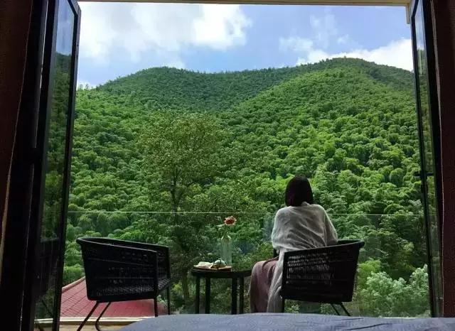 莫干山民宿很厉害吗,莫干山民宿推荐轻奢