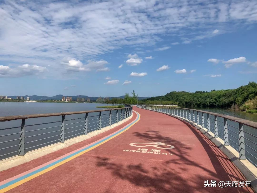 世警会准备什么,世警赛赛程2023