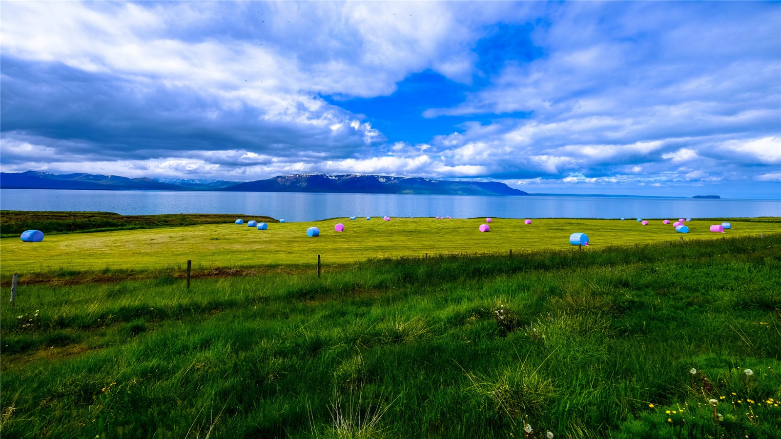 心理学对未来和当下的解析,人的潜力都是被逼出来的心理学