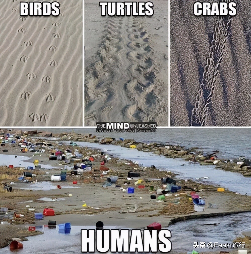 戒纸一年、减塑生活…这个95后女孩，用硬核环保方式火遍全网