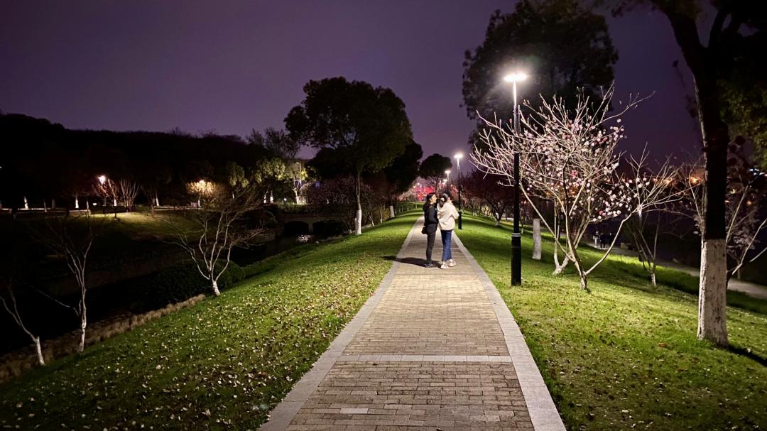 南京的小众景点非常适合一个人去,南京充满森林的公园