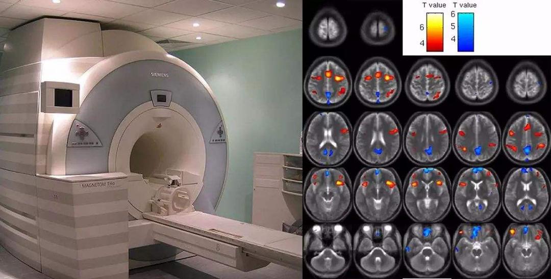 科学家发现水是有记忆的,科学探索水的秘密