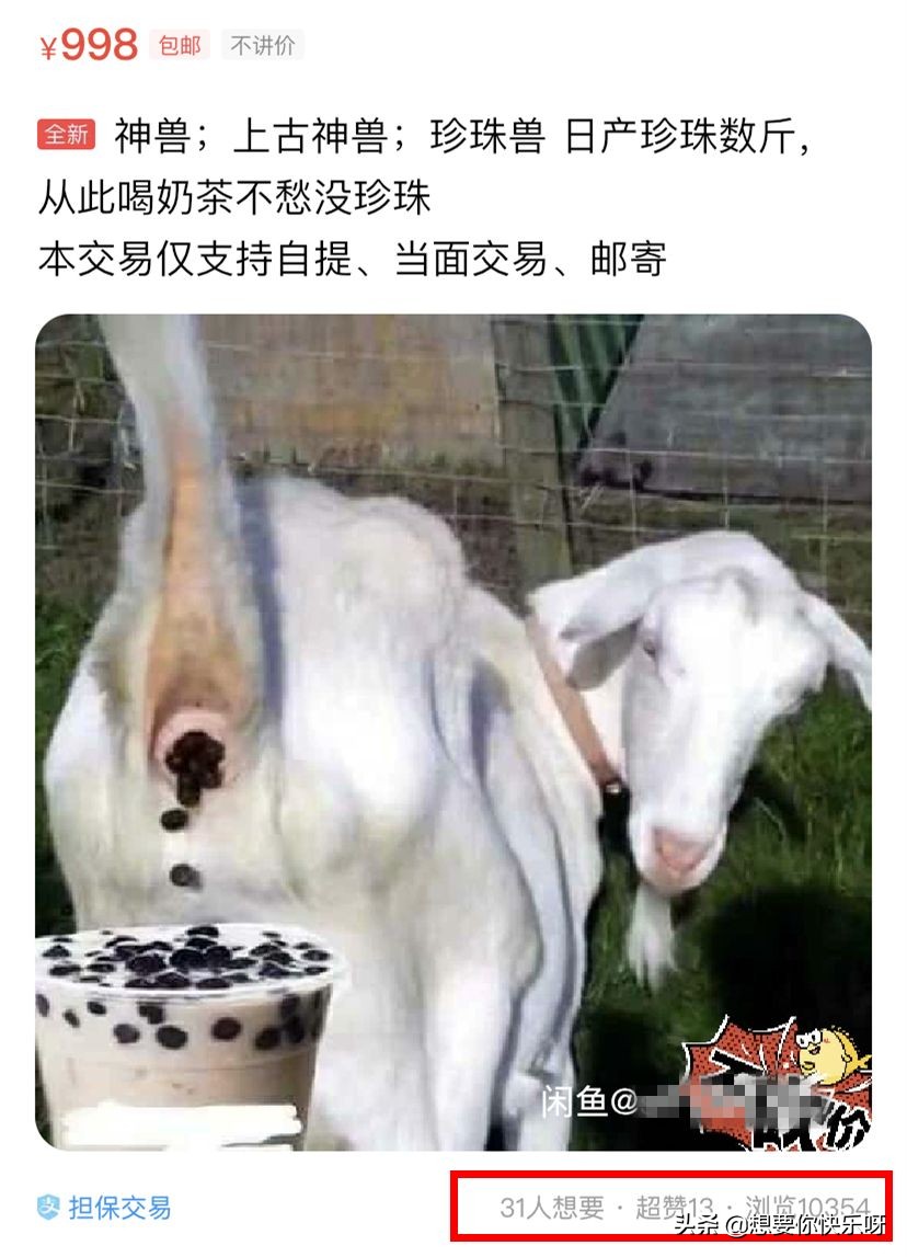 闲鱼神兽出售,闲鱼上买神兽靠谱吗
