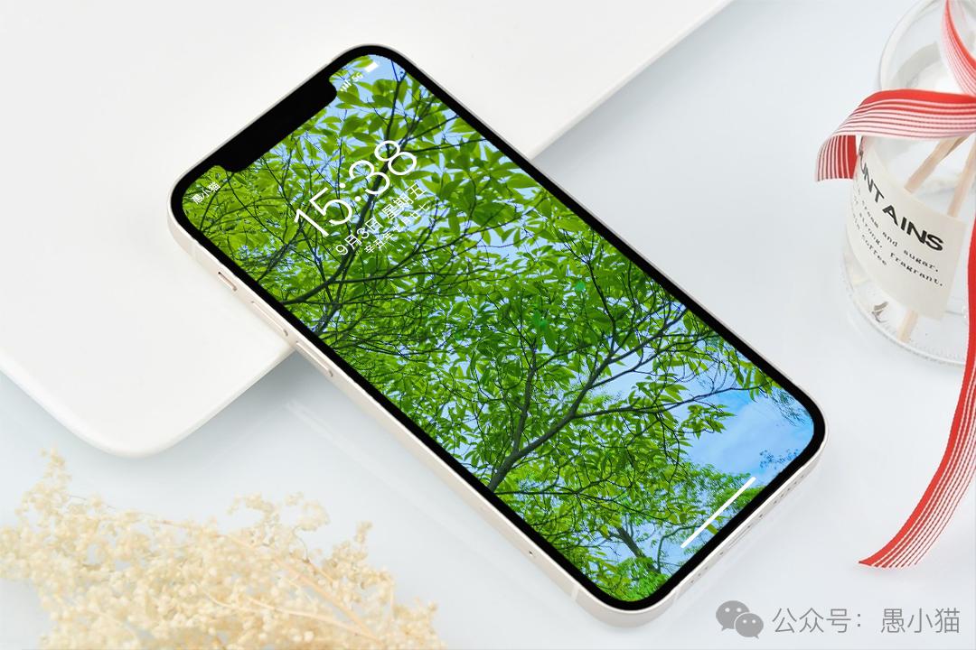 高清风景壁纸｜你静候着秋天的温柔，留我在风景之外