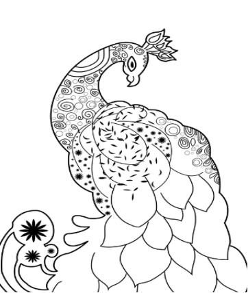 孔雀线描小学生一等奖画大全,黑色卡纸高光笔线描创意画孔雀