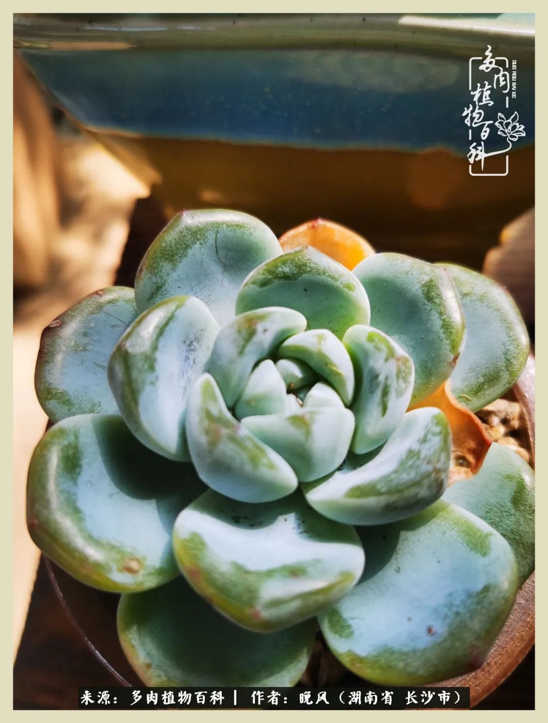 摇身一变成了奶爸,摇身一变成为打工人