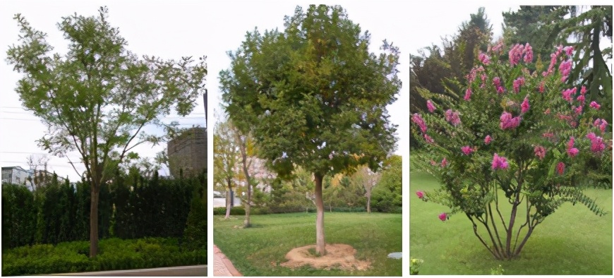 佛山市医院设计团队,山东医院设计效果