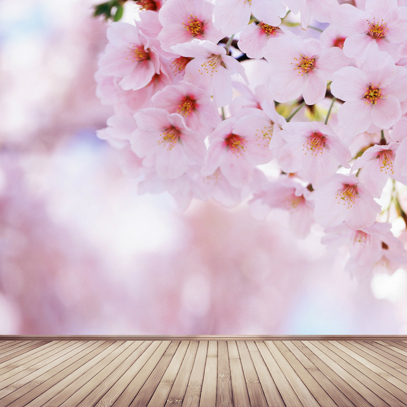 经典婚后文排名 (25本好看的婚后文推荐)