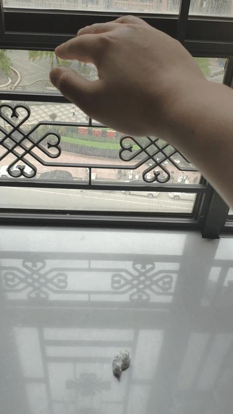 4个免费的良心app,七大超好用的app推荐