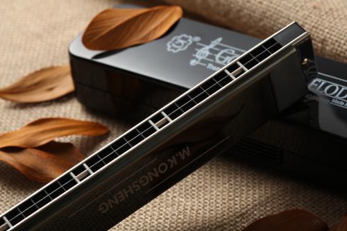 新手口琴种类怎么选,口琴的介绍有哪些