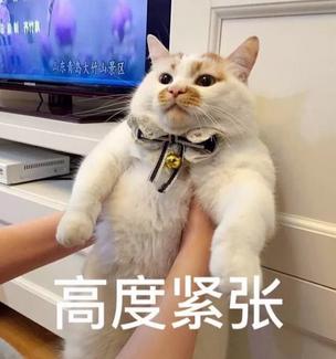 女生包包里面都装什么豆豆,女生的包包装的是什么