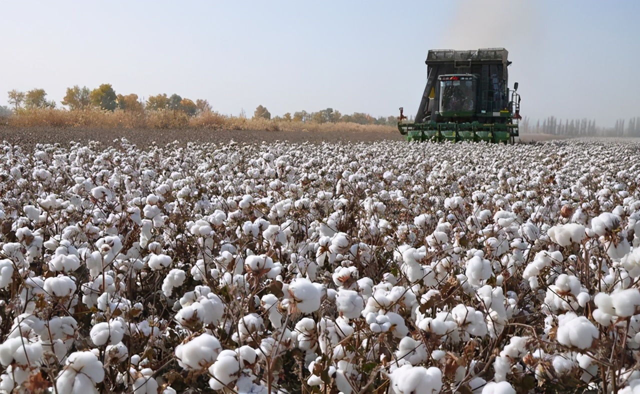 质感的棉t推荐,好穿棉t推荐