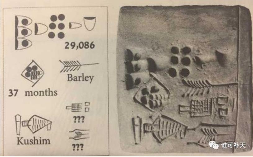 会计有哪些靠谱的铁饭碗,会计这个职业门槛真的很低吗