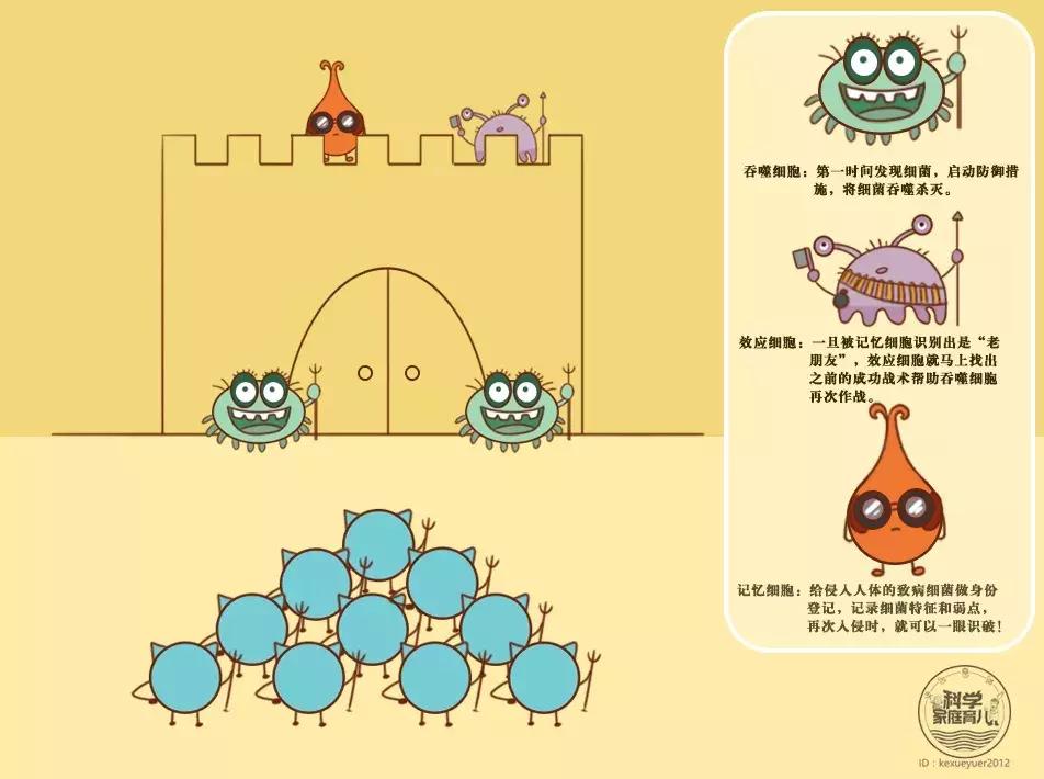 为什么抗生素的药不能随便吃,抗生素不等于消炎药