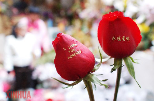 你的生日代表的花语,今天是你的生日花语