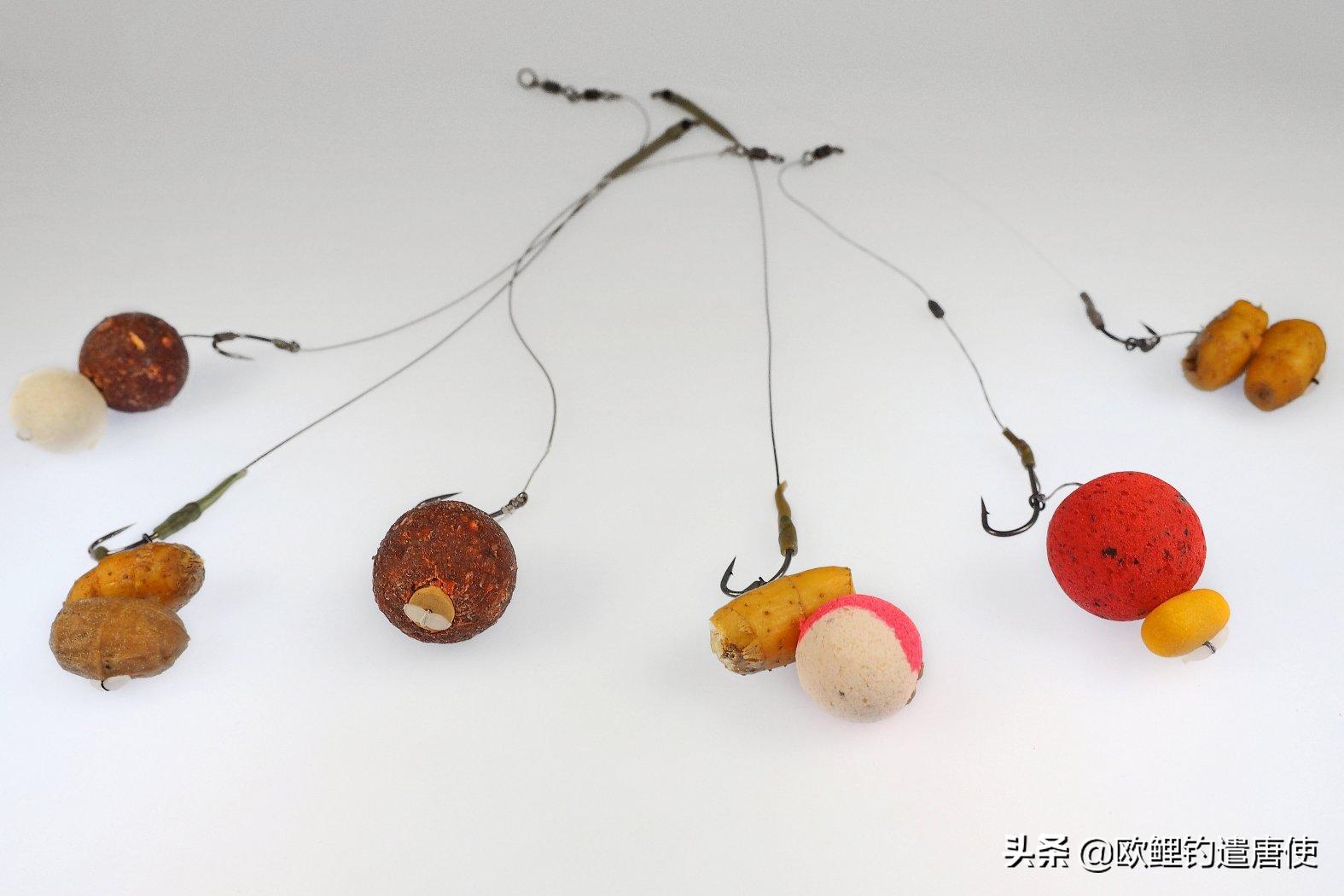 话说欧鲤钓之科学篇,欧鲤钓知识讲解