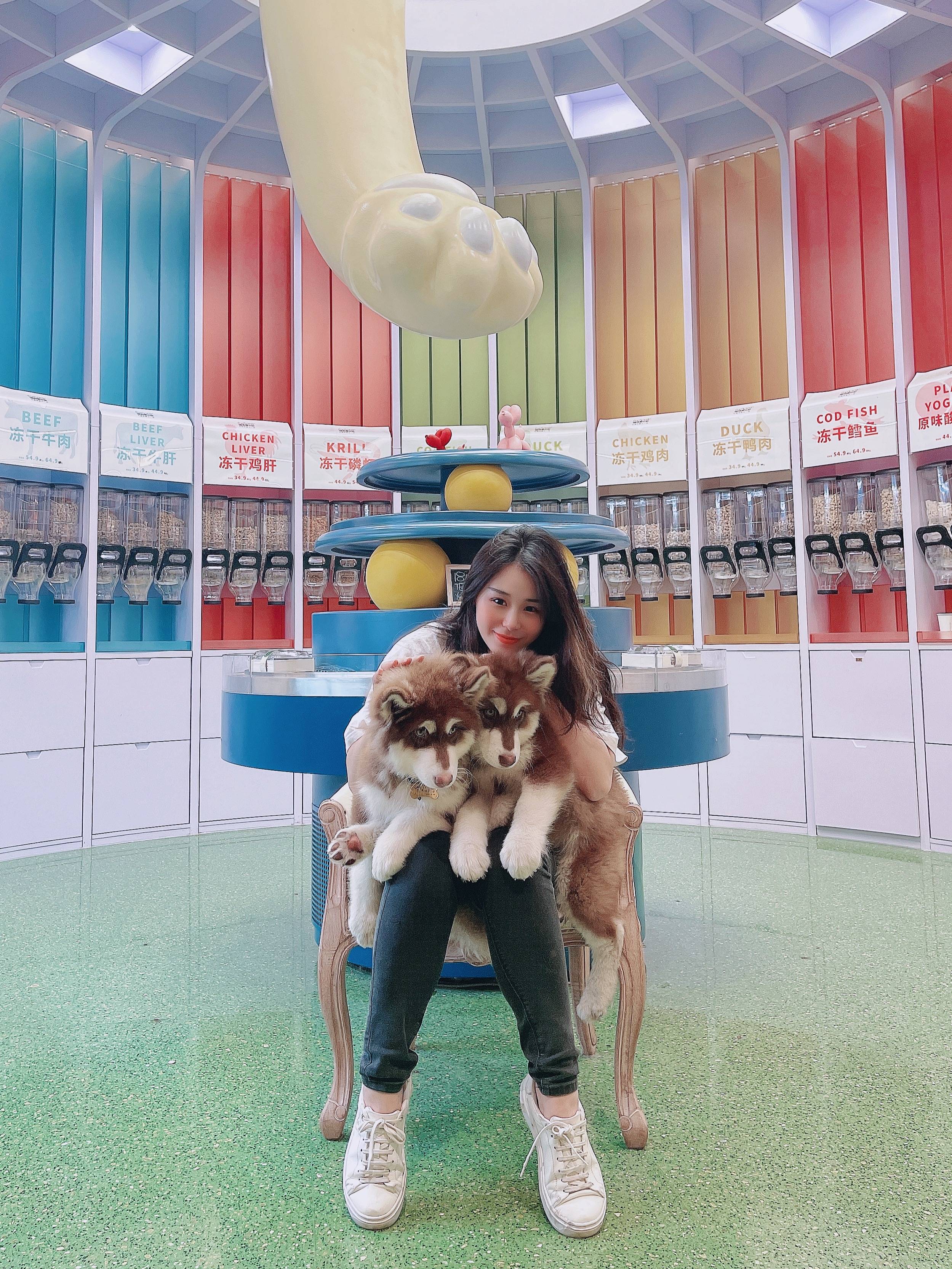 第一次养阿拉斯加犬需要注意什么,阿拉斯加犬怎么养新手必看