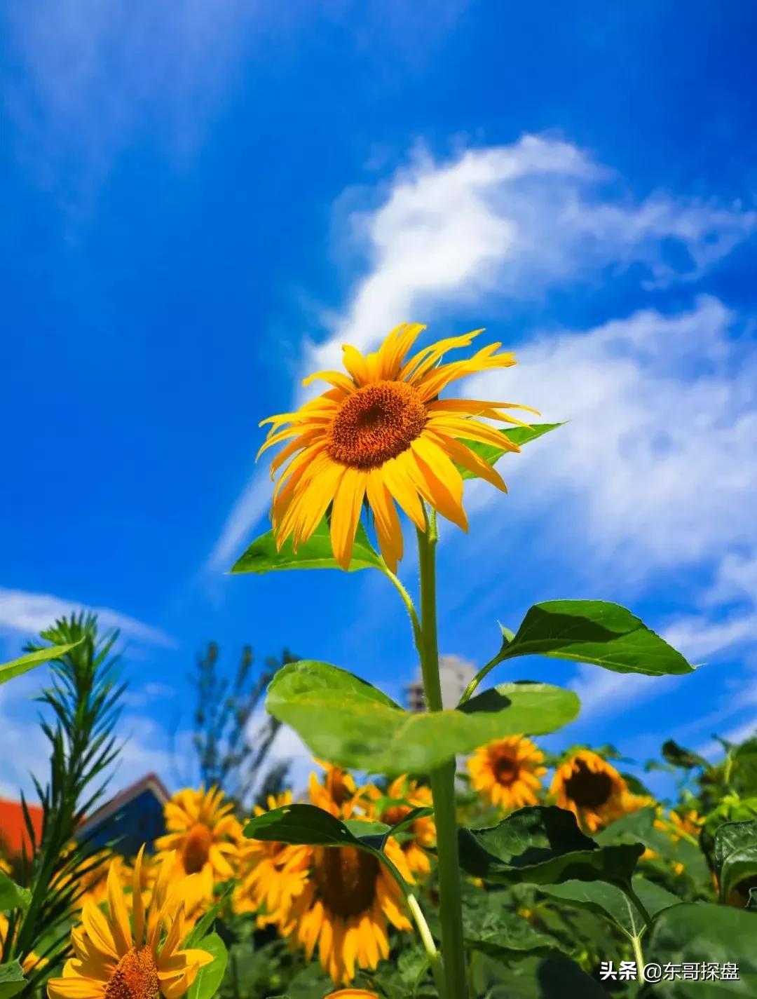郑州在你眼中的样子,郑州的10年