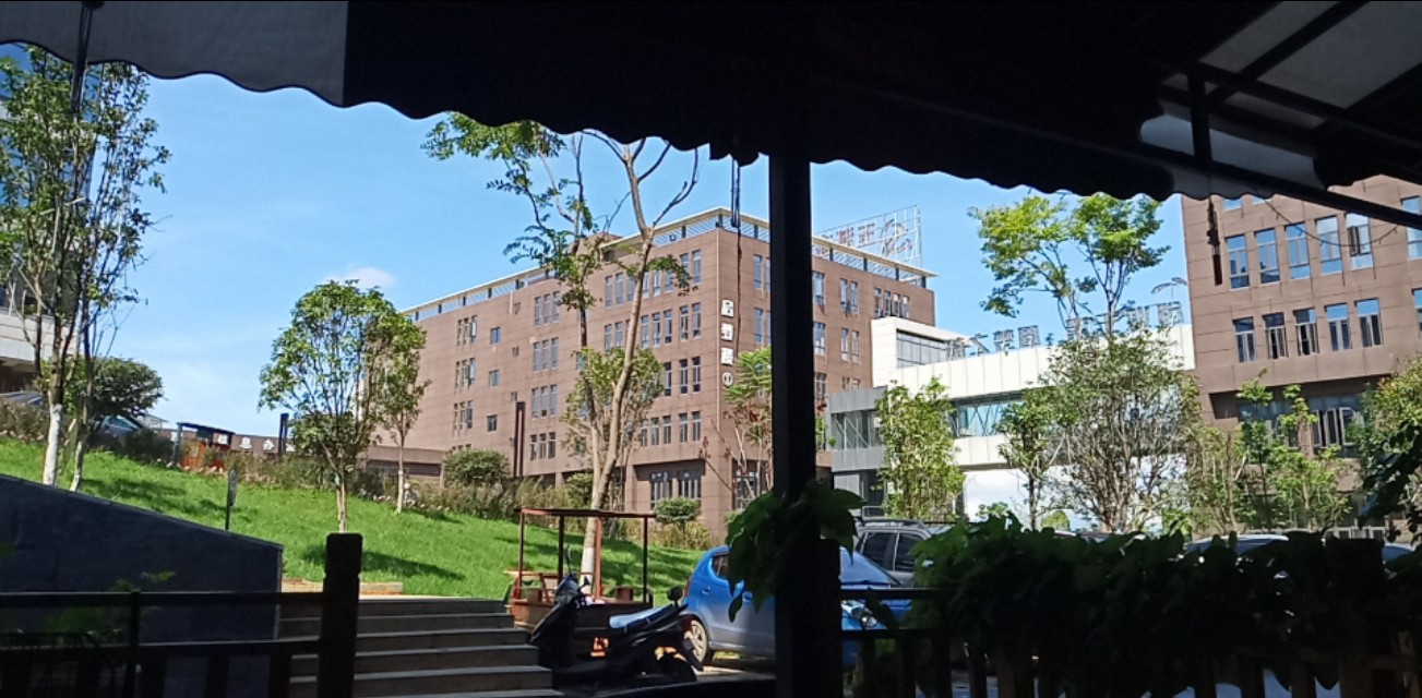 冯成毅的期货交易哲学,冯成毅做期货突然顿悟