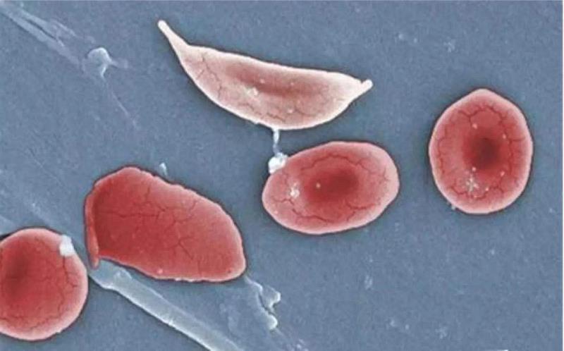 坐月子可以洗澡吗20天,坐月子20天可以洗澡吗