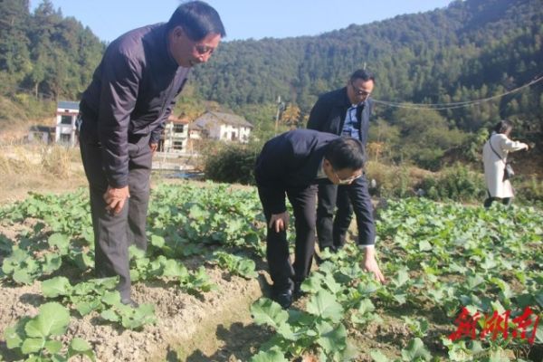 待到山花烂漫时革命英烈,待到山花烂漫时乡村振兴