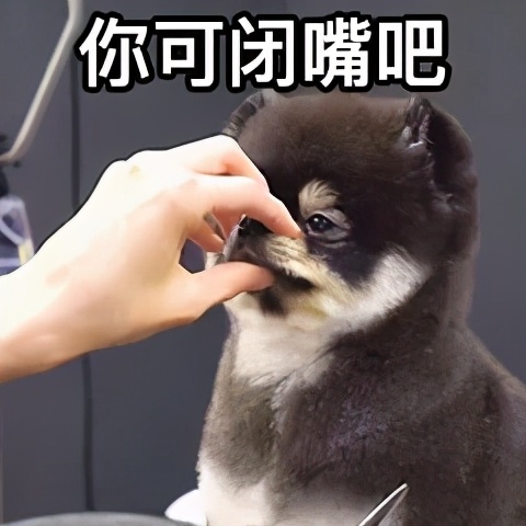 英国曼大哪些专业好申请,曼彻斯特环发学院