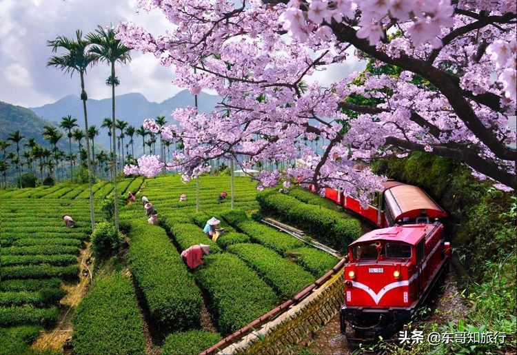 去台湾旅游会有什么感受,去台湾为什么要去厦门旅游