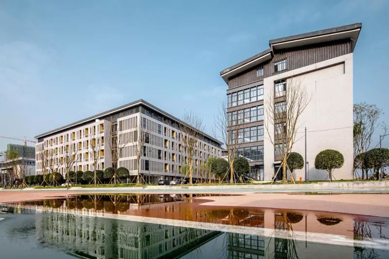 2023天府四中摇号率,天府四中初中部摇中率