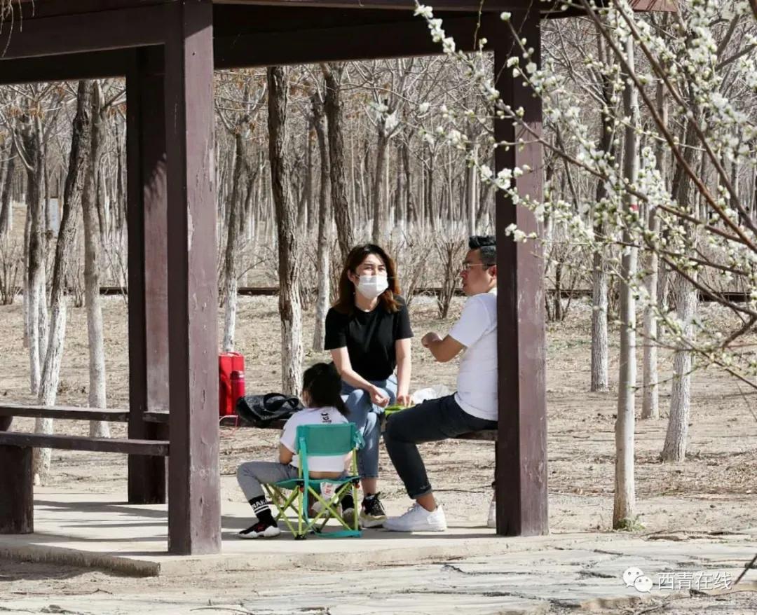 天津最近新开放的公园,天津东疆亲海公园2022年开放吗