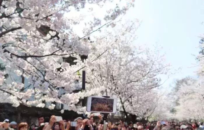 来南京必做的16件事,在南京必须知道的90个常识