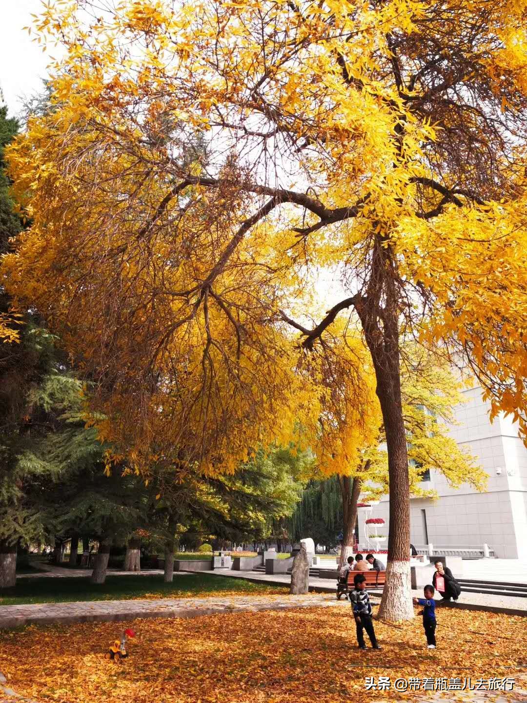 兰州一日游大学生,兰州大学榆中一日游
