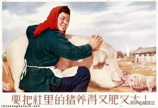 周末活动的骗局,现实生活每天都在上演骗子陷阱