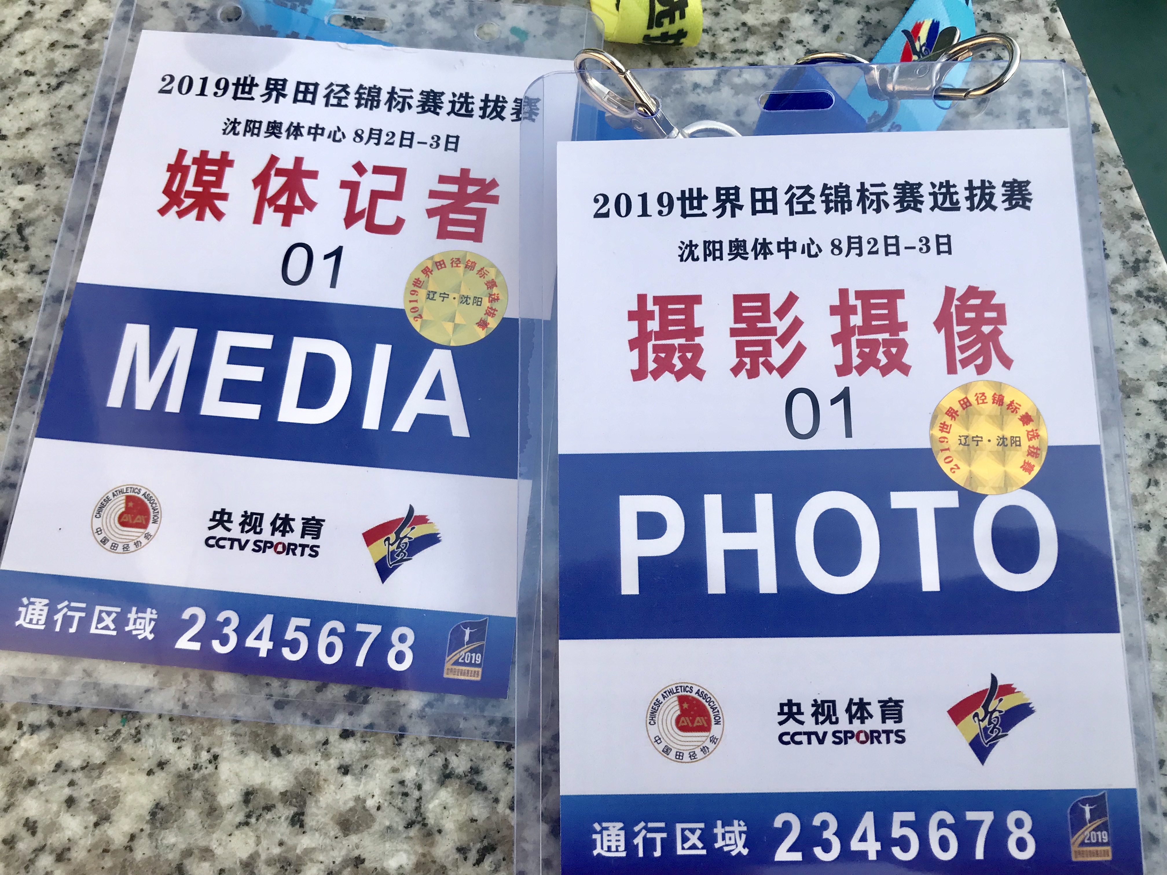 苏炳添十次破十秒的比赛图片,苏炳添第一次打破世界纪录