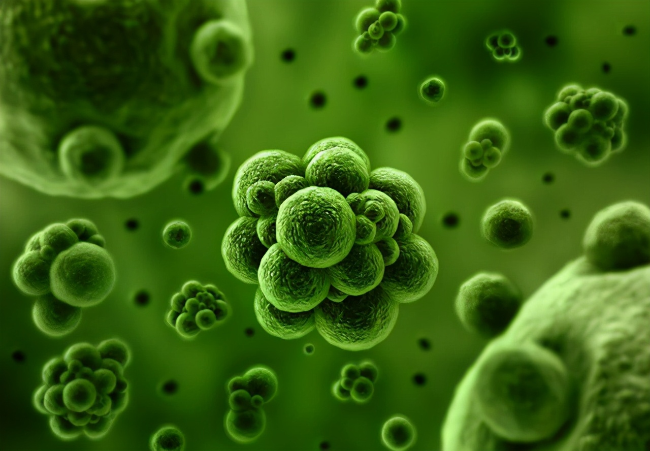 十岁孩子指甲上有竖纹是怎么回事,指甲出现竖条纹还会裂开