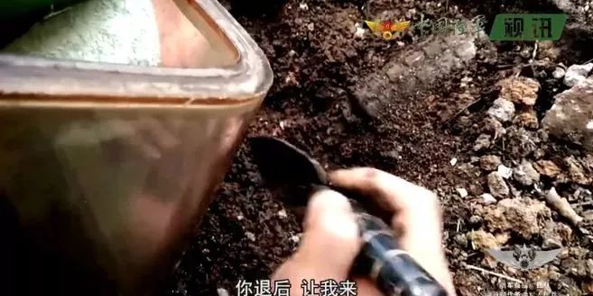 军礼的震撼瞬间,最动容的军礼