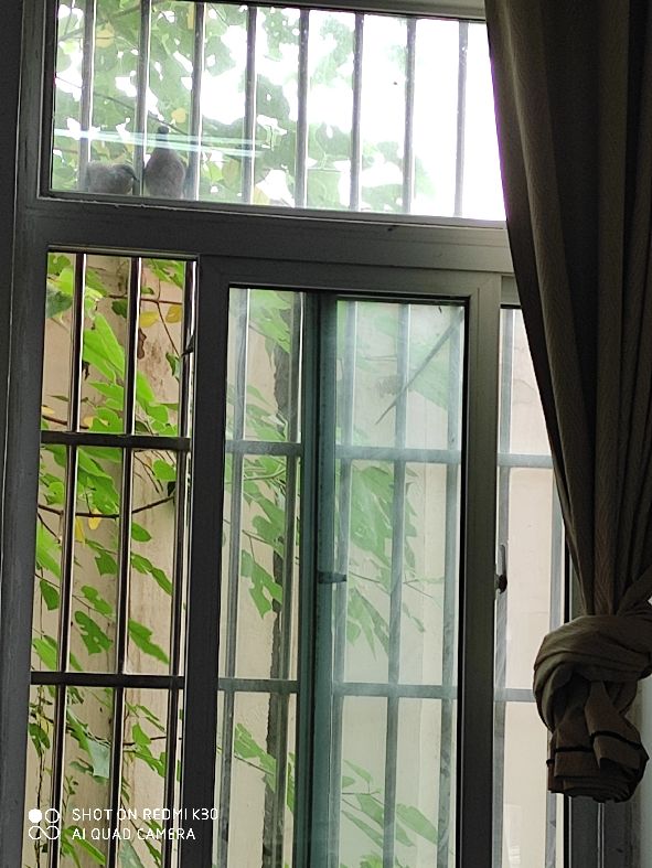 罗生门真实的情况是什么,加沙医院遇袭真相引发罗生门