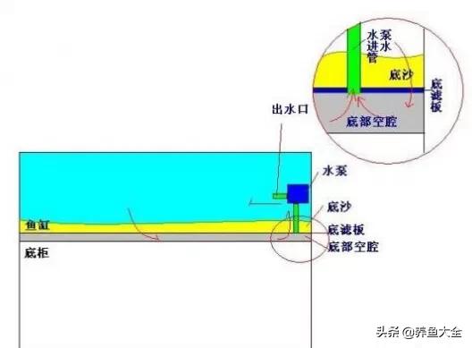 鱼缸过滤详细讲解,学会这一招鱼缸清澈