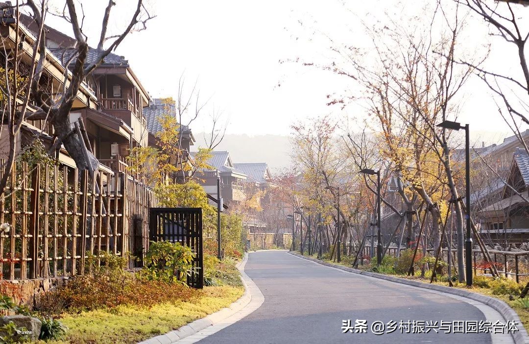 古朴悠然的禅意小镇,半农学院