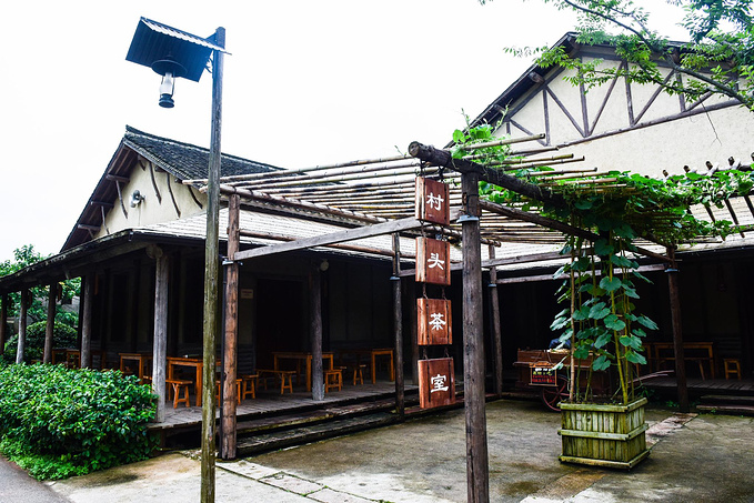 乌村暑期夏令营，吃喝玩乐在这里