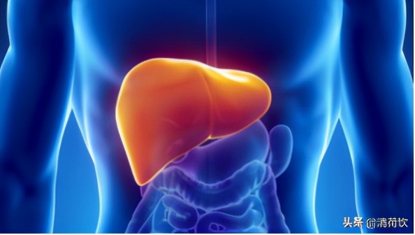 深读：那些“泡”在酒里的肝，后来都还好吗？